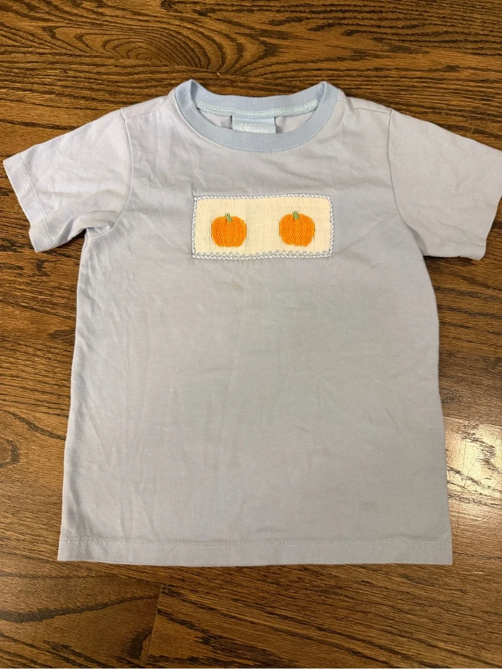 Light Blue shirt with smocked Pumpkins